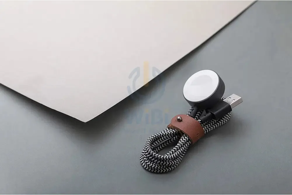 Native Union Apple Watch Belt Cable - Zebra