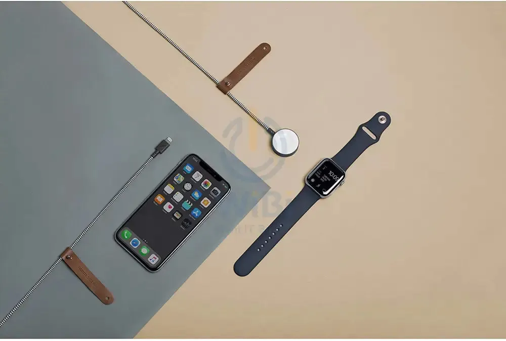 Native Union Apple Watch Belt Cable - Zebra
